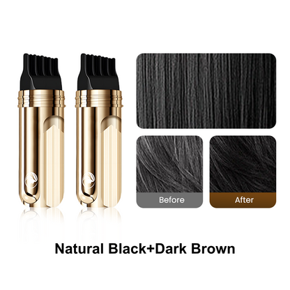 🔥Buy 1 Get 1 Free🌿2-in-1 Convenient Hair Dye Comb For Gray Hair（50% OFF）