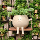🌱 Happy Swing Rocking Chair Planter – The Cutest Way to Grow Joy!