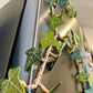 aldorian™-🍃 3D Printed Magnetic Ivy Faux Plant Fridge Magnet