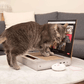 🔥Last Day 49% OFF - 💻Cardboard Notebook-Style Cat Scratching Pad🐱