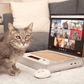 🔥Last Day 49% OFF - 💻Cardboard Notebook-Style Cat Scratching Pad🐱