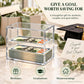 Floating Bill Savings Challenge Box – Clear Acrylic Money Bank