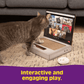 🔥Last Day 49% OFF - 💻Cardboard Notebook-Style Cat Scratching Pad🐱