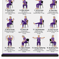 Steadwell – Seated And Standing Tai Chi Wall Chart