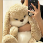 🐰Angry Rabbit plush toy