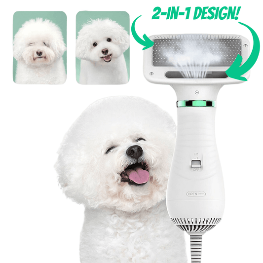 🐶2-in-1 Dog Grooming Dryer🐶