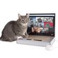 🔥Last Day 49% OFF - 💻Cardboard Notebook-Style Cat Scratching Pad🐱