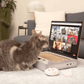 🔥Last Day 49% OFF - 💻Cardboard Notebook-Style Cat Scratching Pad🐱