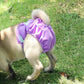 🐾   🐶Sanitary Washable Dog Panties（3PCS)