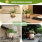 🌱 Happy Swing Rocking Chair Planter – The Cutest Way to Grow Joy!