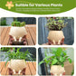🌱 Happy Swing Rocking Chair Planter – The Cutest Way to Grow Joy!