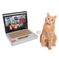 🔥Last Day 49% OFF - 💻Cardboard Notebook-Style Cat Scratching Pad🐱