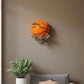 Volleyball, basketball, football, ball support stand base collection interior decoration