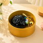 Glow In The Dark Kawaii Bao Bun Keychain with Steamer