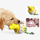 🔥Hot Sale🔥Dinosaur Eggs Dog Chew Toys