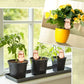 🐦Automatic Flower Drinker Type Birdie✨BUY 2 GET 1 FREE🔥（3pcs）