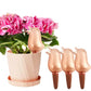 🐦Automatic Flower Drinker Type Birdie✨BUY 2 GET 1 FREE🔥（3pcs）