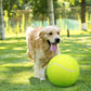 49% OFF🔥Giant Tennis Balls: The Perfect Toy for Dogs