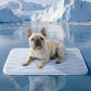 ❄️2026 Summer Hot Sale 49% OFF🧊PawDew™ for Dogs & Cats – Vet-Approved Ice-Silk Cooling Pad ❄️ | Q-MAX >0.4 | Washable 🧼, Non-Slip 🛟 | Perfect for Large Breeds & UK Summers ☀️🇬🇧