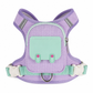 🎁2026 New Arrivals 50% OFF💥🐕 Dog Harness with Backpack: Hands-Free, No-Choke Padded Vest, Reflective, Small Dogs
